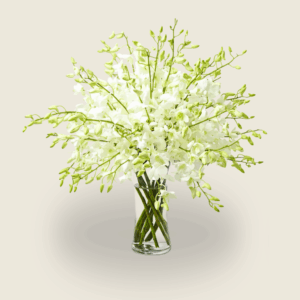 White orchid condolence vase arrangement