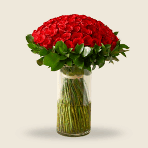 Tall vase with a dome of red roses and lush greenery