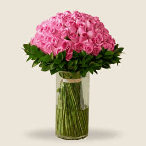 Tall vase of pink roses with lush green leaves