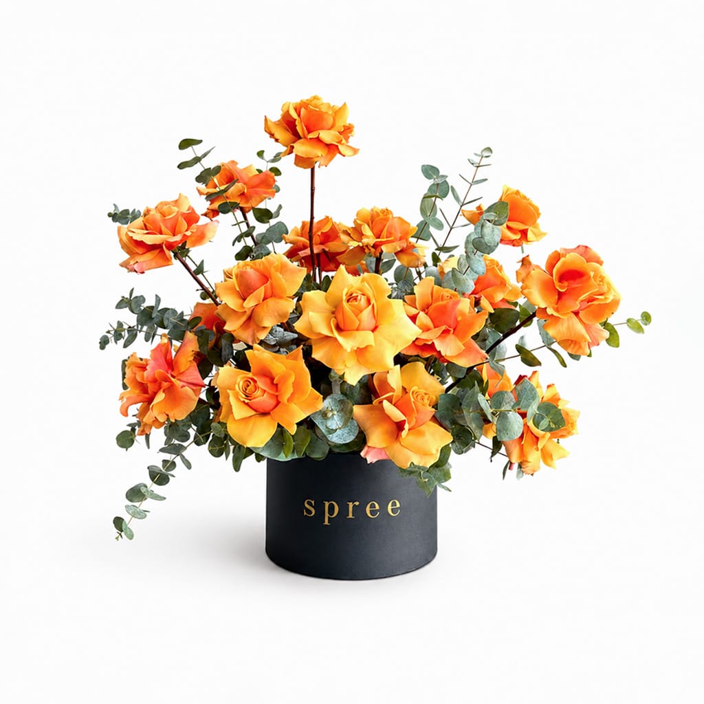 Amber Glow Roses