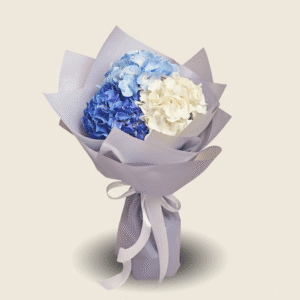 Elegant birthday bouquet with blue and white hydrangeas in soft wrapping