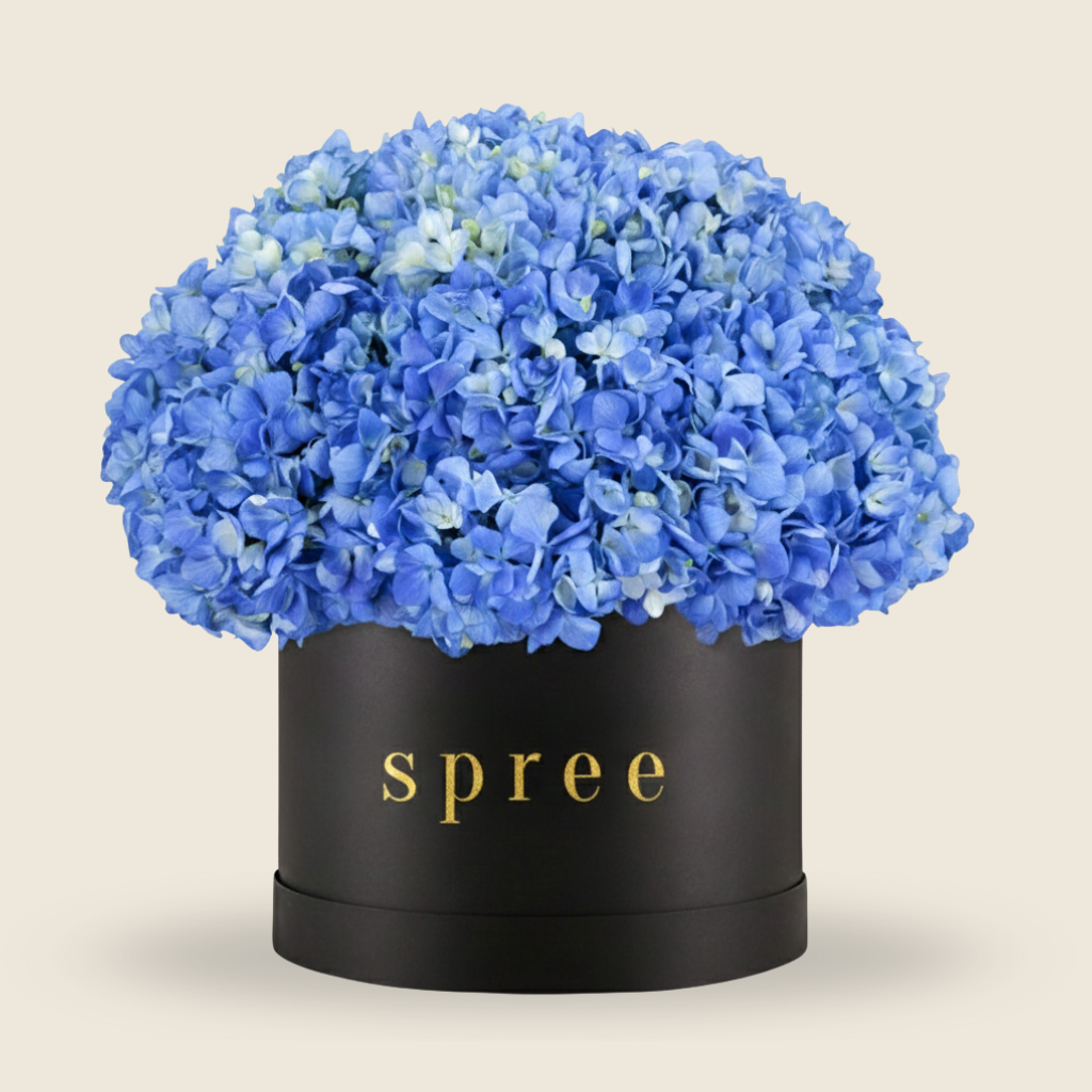 Lush blue hydrangea hatbox arrangement