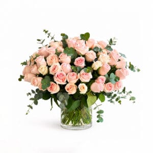 Forever Blush