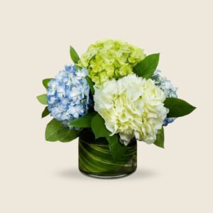 Vase arrangement of blue, white, and green hydrangeas in a glass cylinder