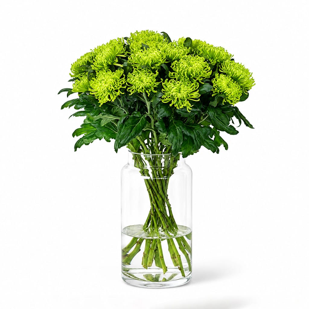 Green Disbud