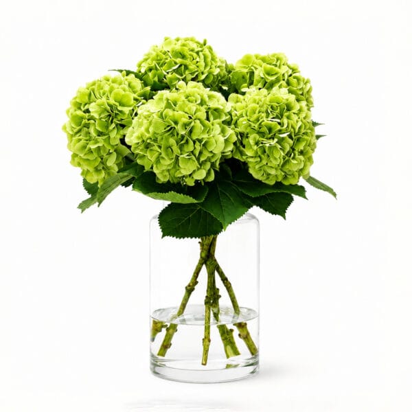 Green Hydrangeas
