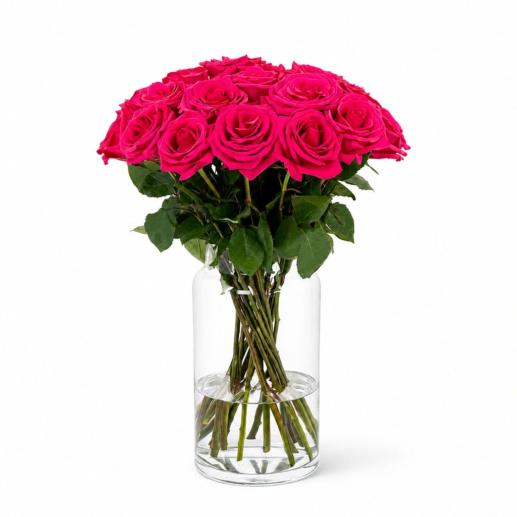 Hot Shot Roses