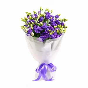 Purple Pride