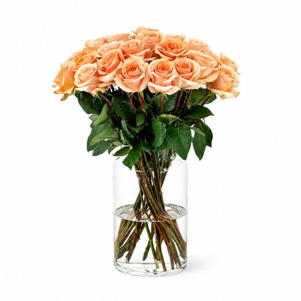 Peach Roses
