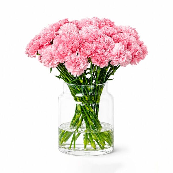 Pink Carnations