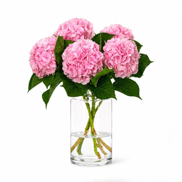 Pink Hydrangeas