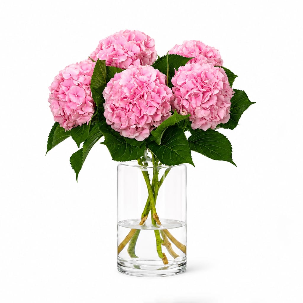 Pink Hydrangeas