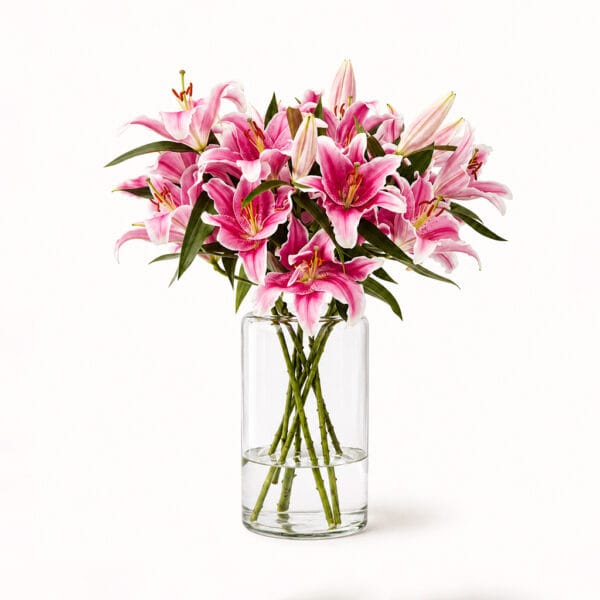 Pink Oriental Lilies