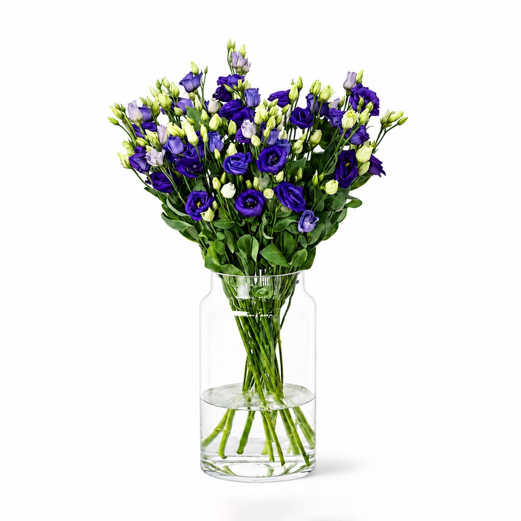 Purple Eustomas