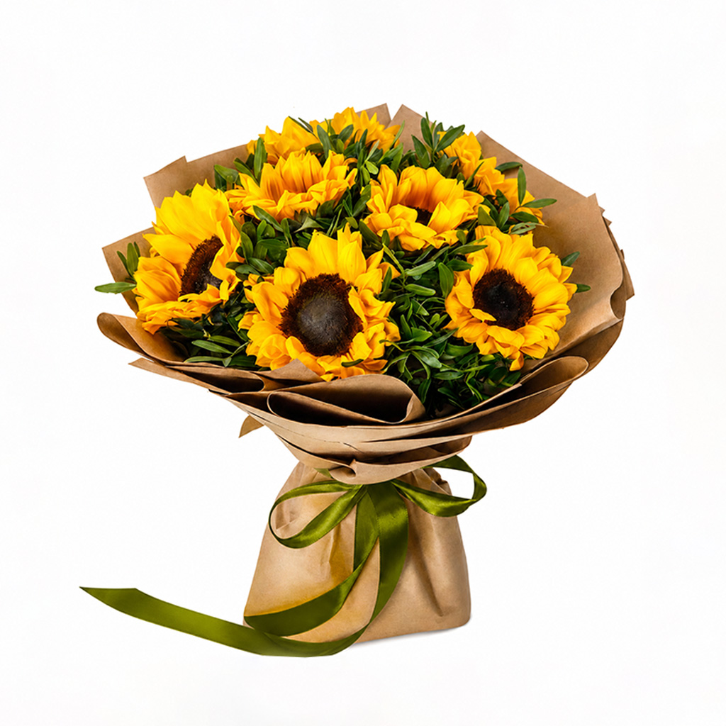 Radient Sunflower F