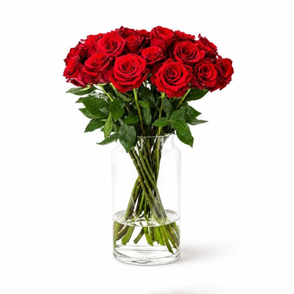 Red Roses