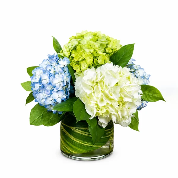Serene Bloom F
