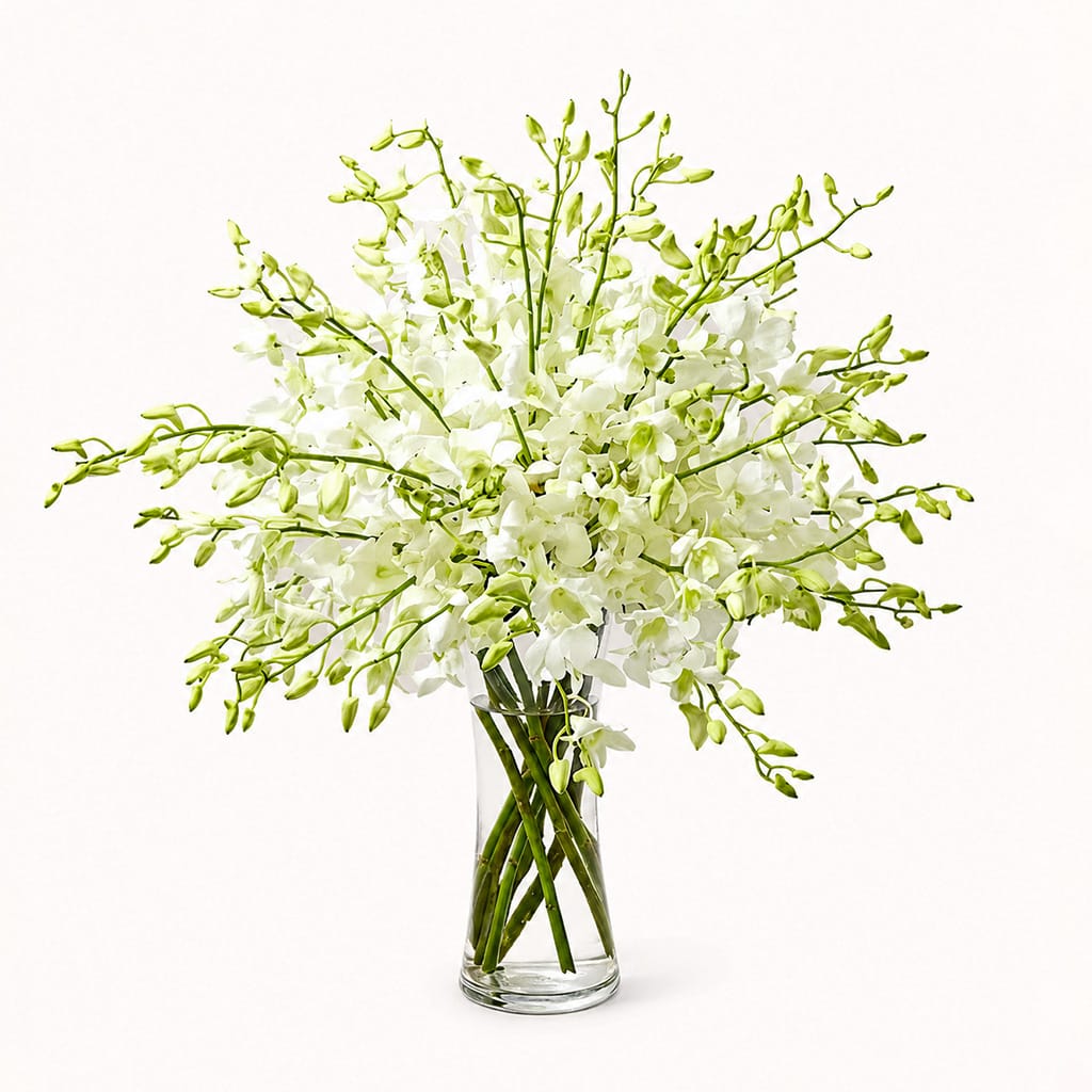Serene Orchids