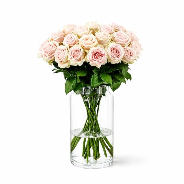 Sweet Avalanche Roses