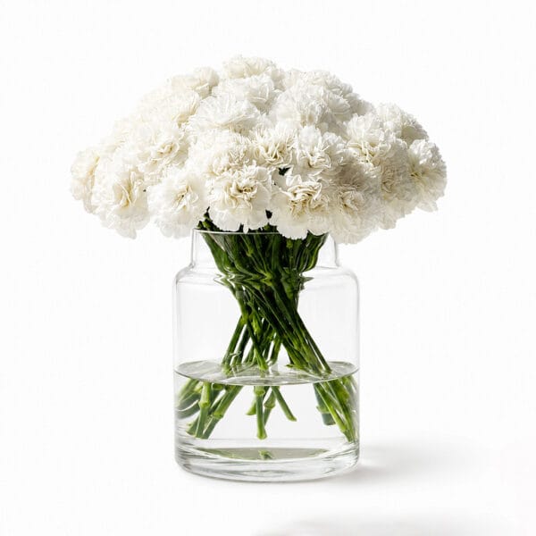 White Carnations