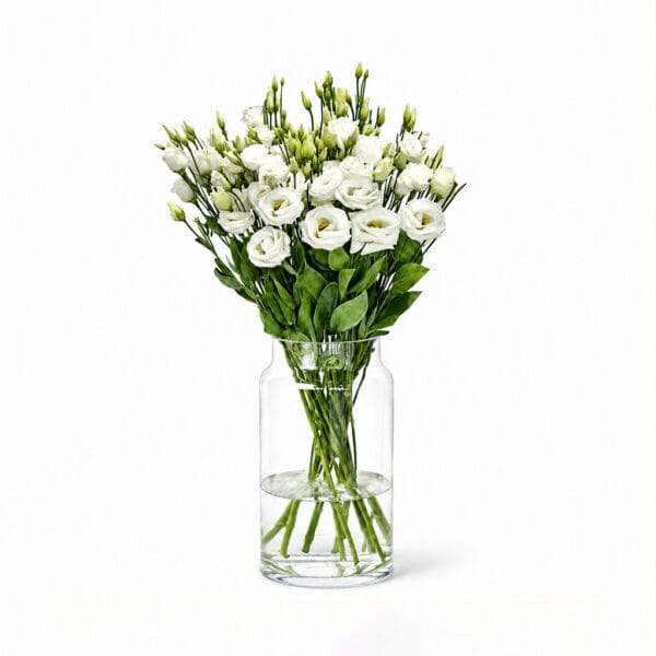 White Eustomas