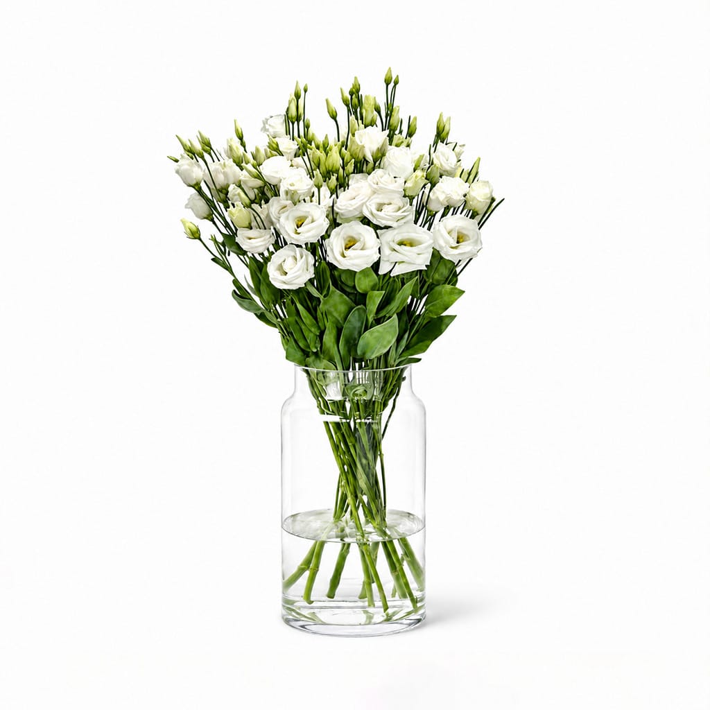 White Eustomas