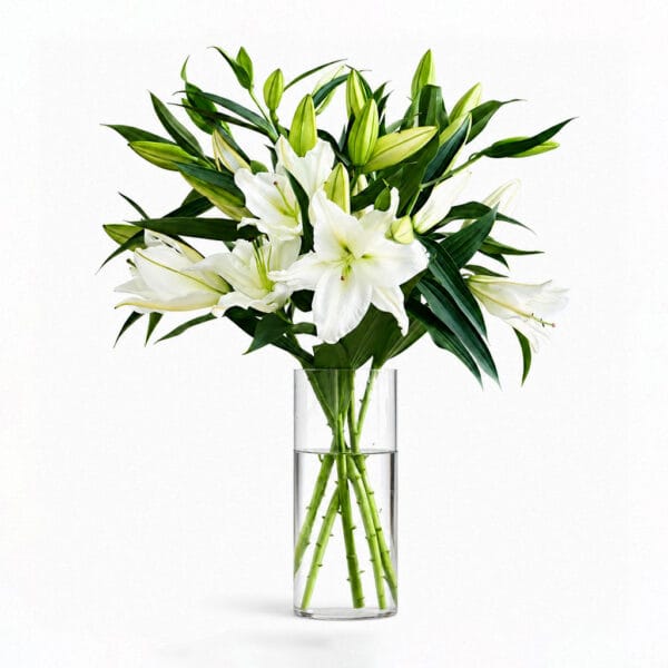 White Oriental Lilies
