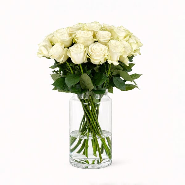 White Roses