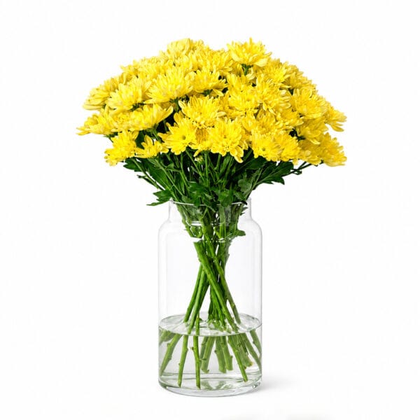 Yellow Chrysanthemums