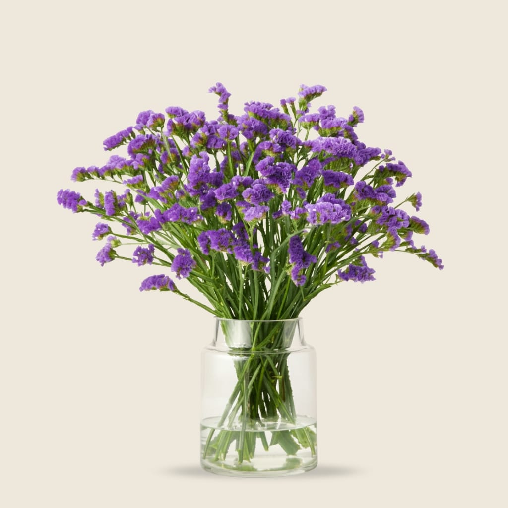 Blue statice stems