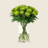 Green disbud stems