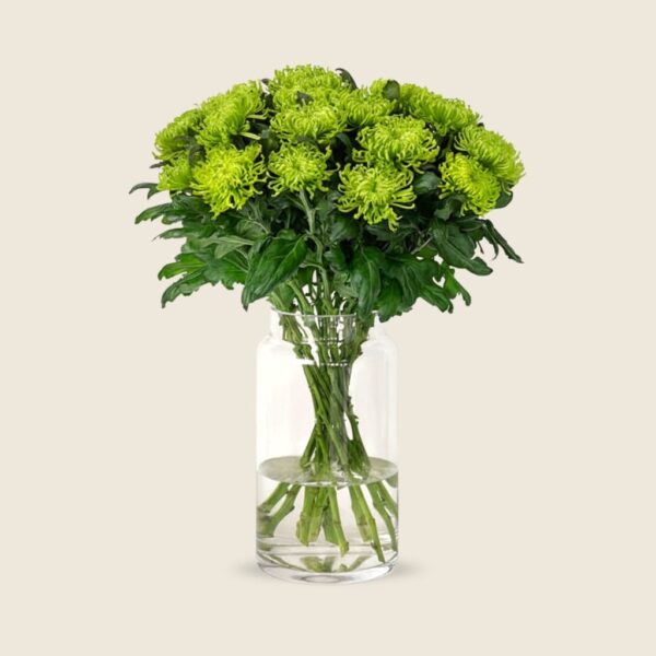 Green disbud stems