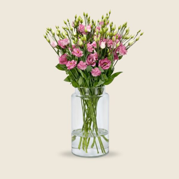 Pink eustoma stems