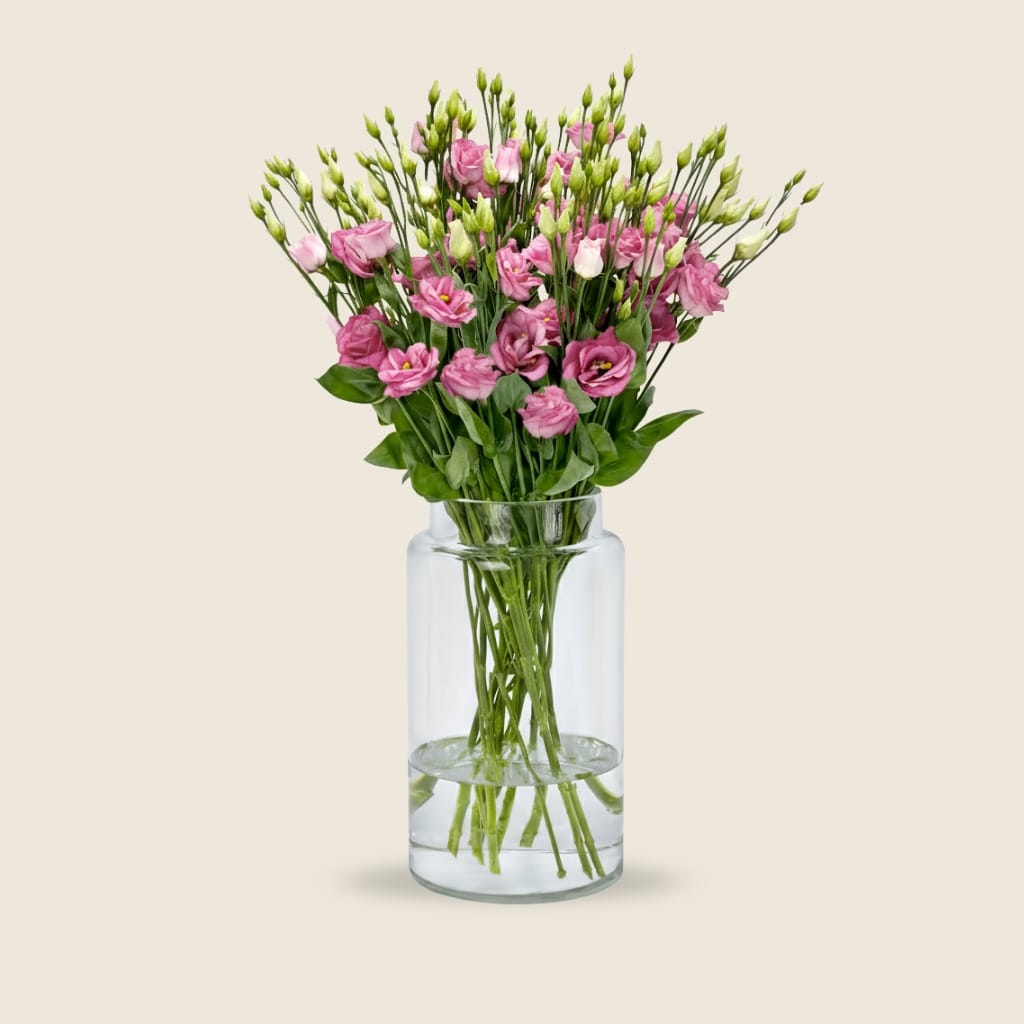 Pink eustoma stems
