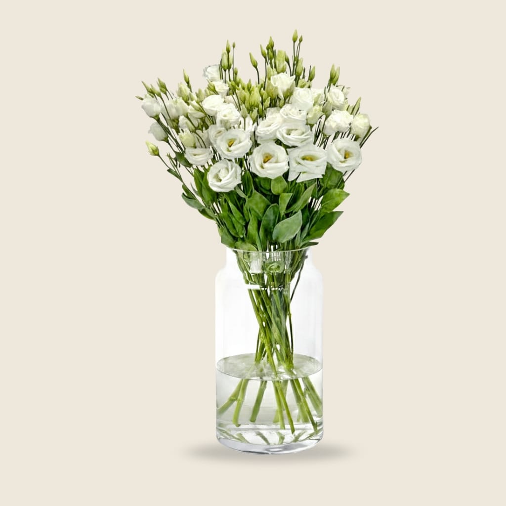 White eustoma stems