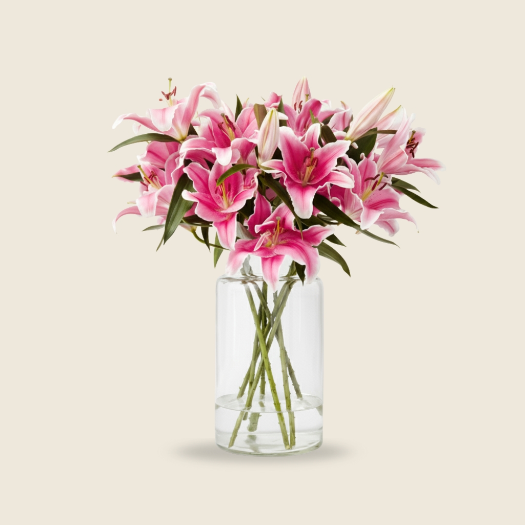 Pink oriental lily stems