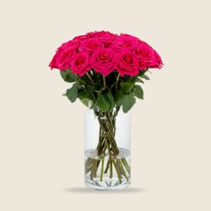 Hot shot rose stems (deep red-pink)