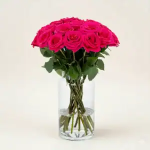 Hot shot rose stems (deep red-pink)
