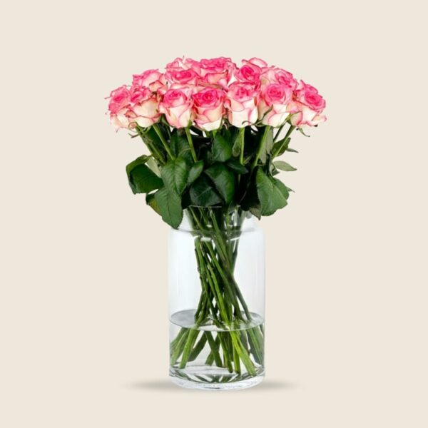 Jumelia rose stems
