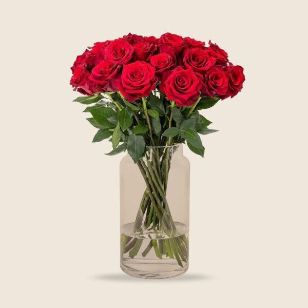 Red rose stems