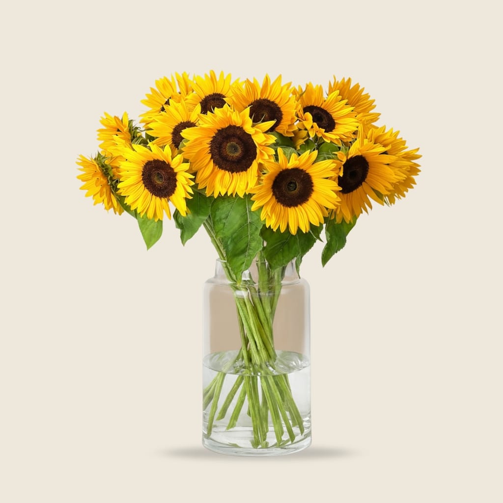Sunflower stems